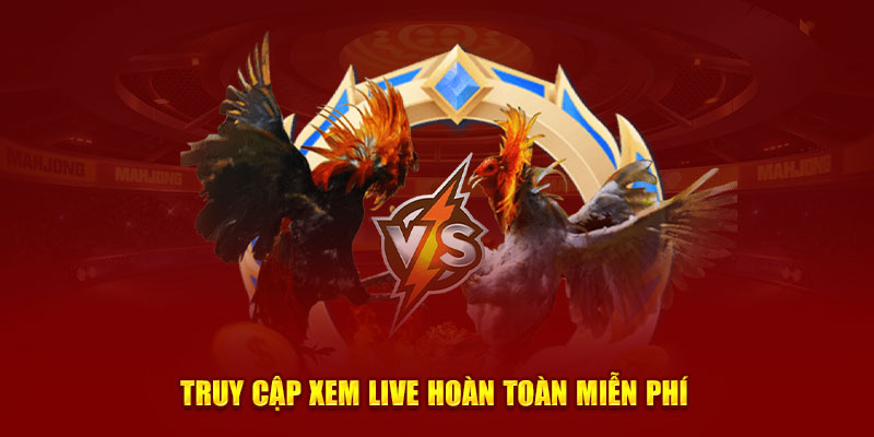Truy cập xem live hoàn toàn miễn phí